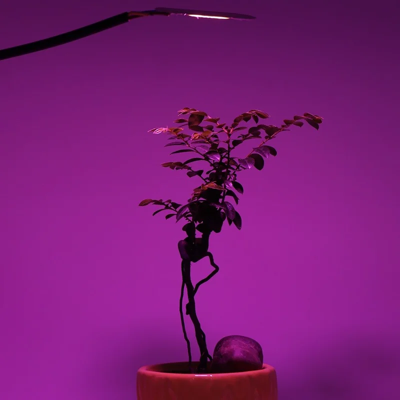 

Wholesale 20pcs LED Grow Light Full Spectrum COB LED Chip AC 110V 220V No Need Driver Phyto Lamp for Indoor Plant Light Seedling