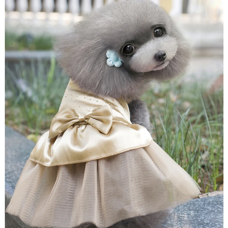 Новинка платье пачка для собаки кружевное милая Одежда кошек и принцесс одежда