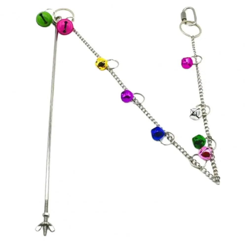 

Multi-functional Chicken Feeding Foraging Tool Chicken Veggies Skewer for Feeder