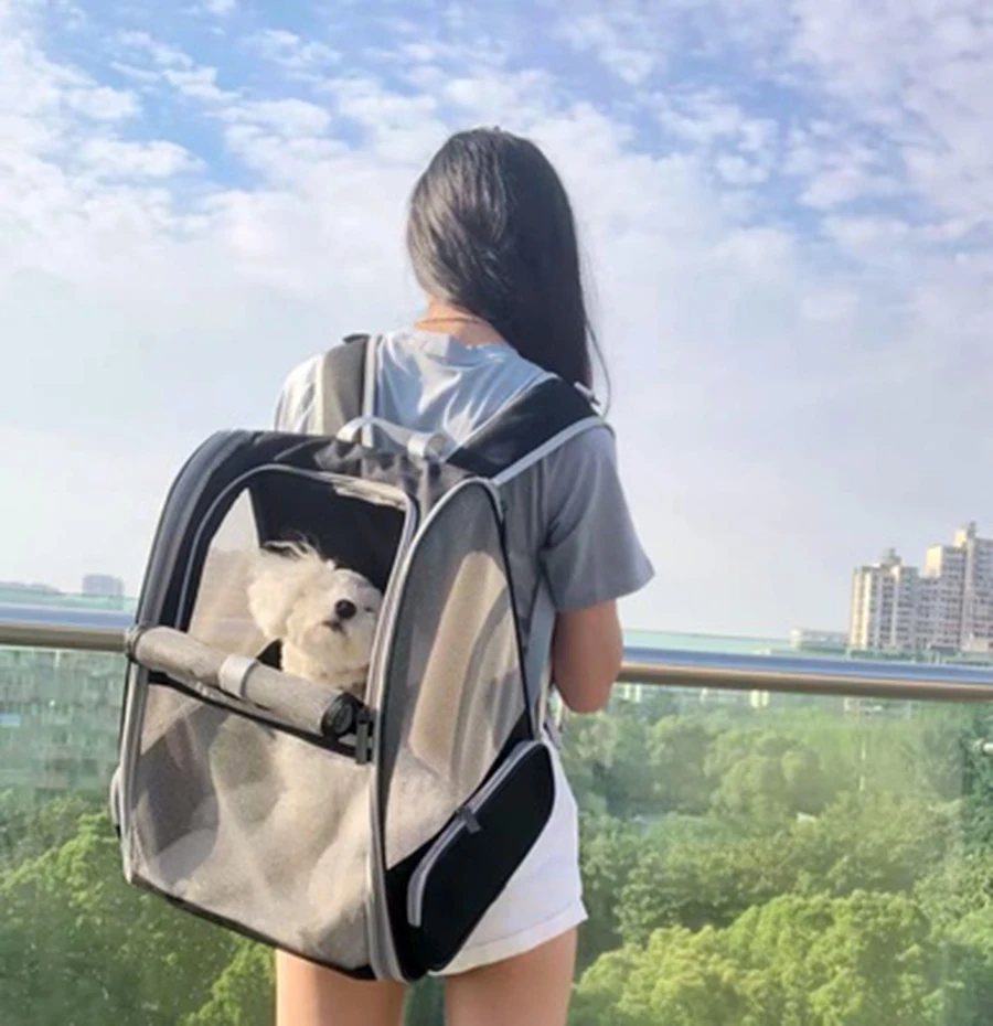 

Transparent Cat Bag Women Carrier Foldable Large Puppy Astronaut Capsule Backpack Bolso Gato Mujer Mochila Perro Pokemon EE5MB