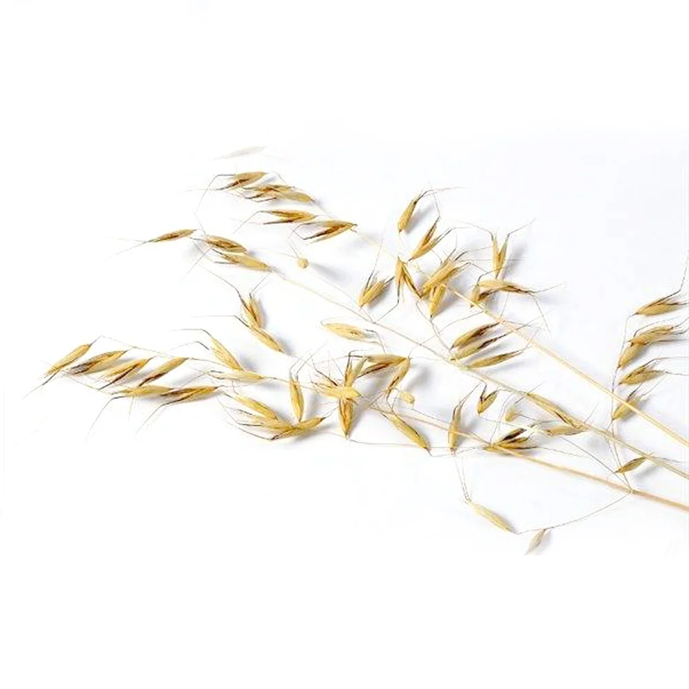 50 шт. натуральный цвет сушеные натуральные Цветочные букеты Натуральные Сушеные