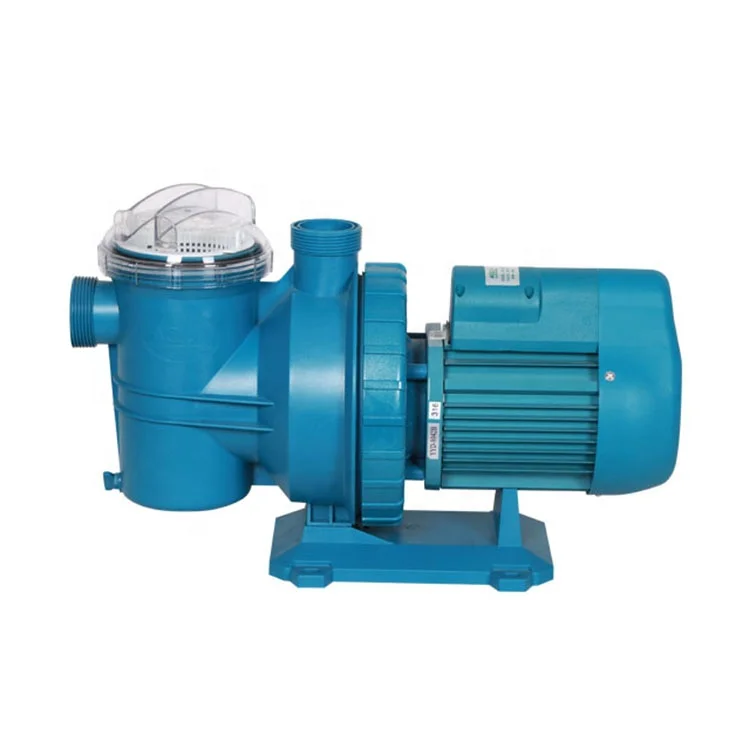 

220V 1HP Professional Wholesale High Lift Swimming Pool Water Pump