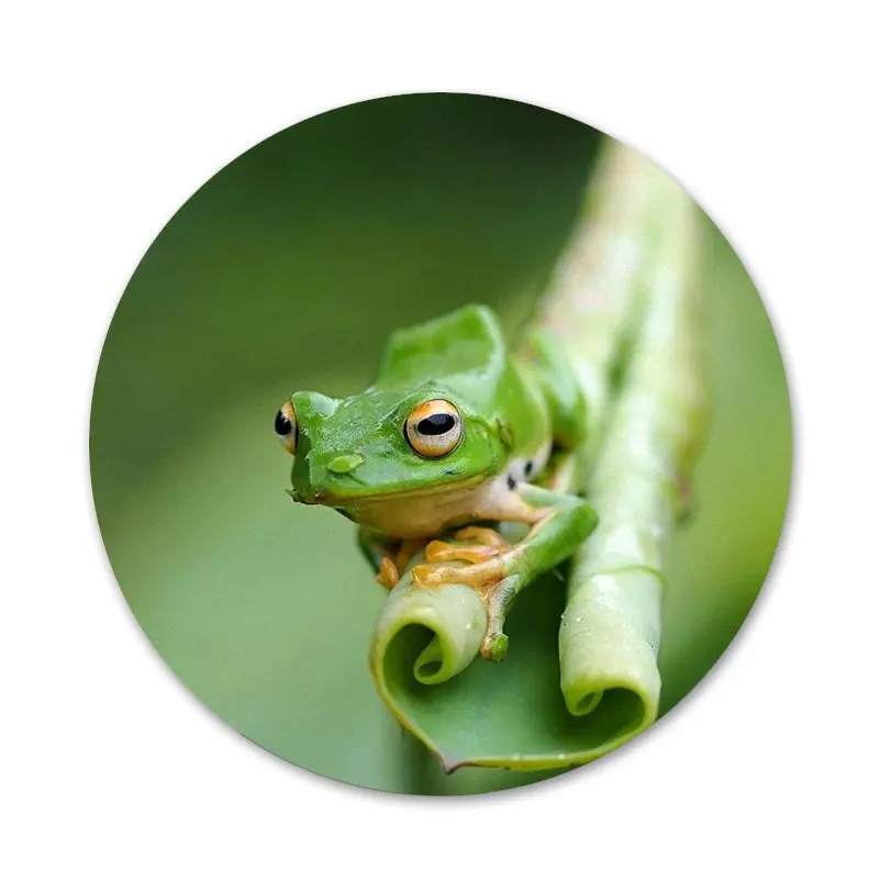 Значок в виде лягушки значки металлические для телефона | Дом и сад