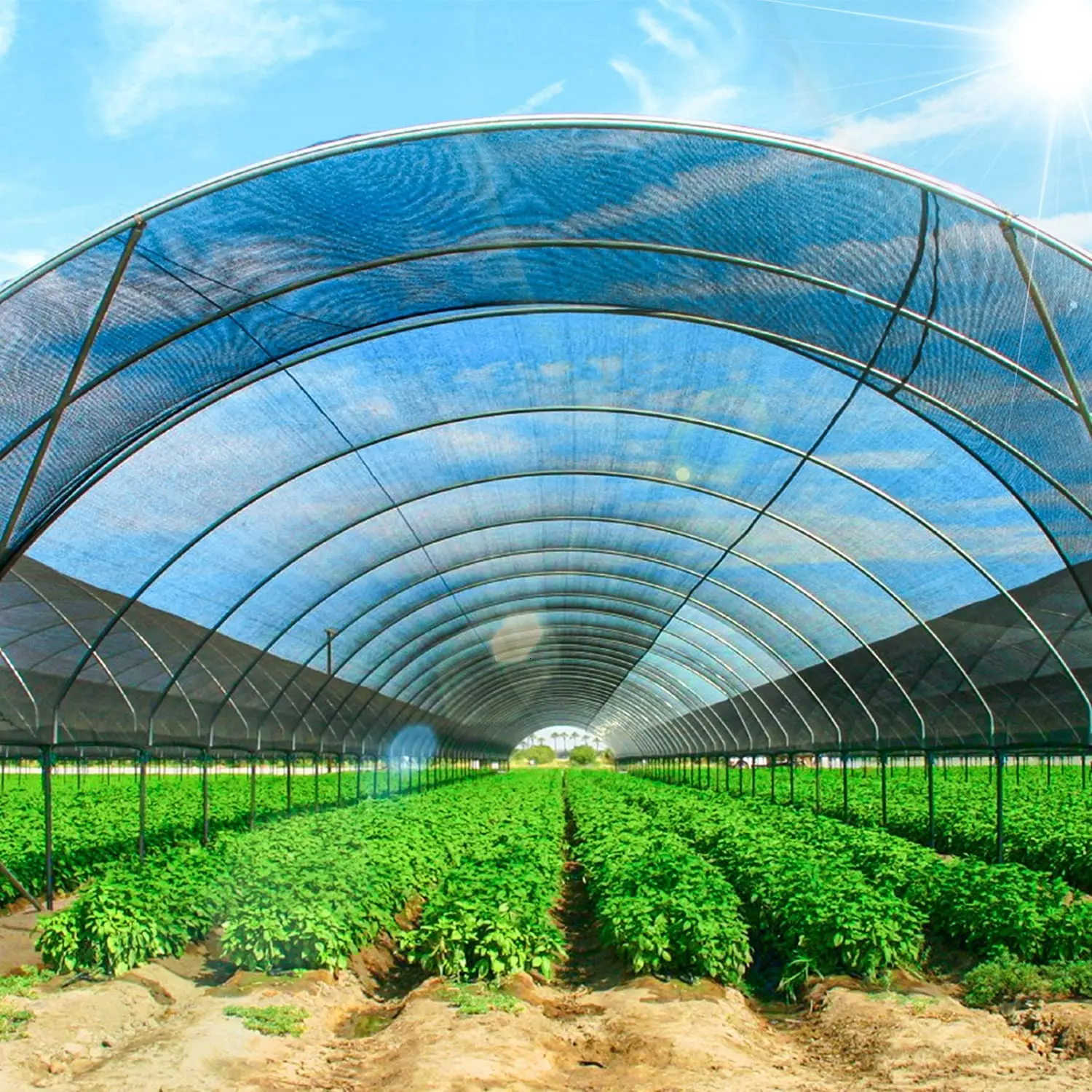 

Garden Supplies