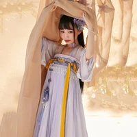 ladies exquisite embroidery hanfu clothing traditional chinese elegant tang dynasty dance wear fairy princess cosplay costume