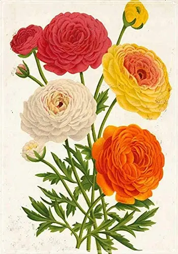 

Garden Flower Retro Vintage Tin Metal Sign Wall Decor Metal Sign Home Bar Garden Restaurant Wall Decor Flower 12X16 inches