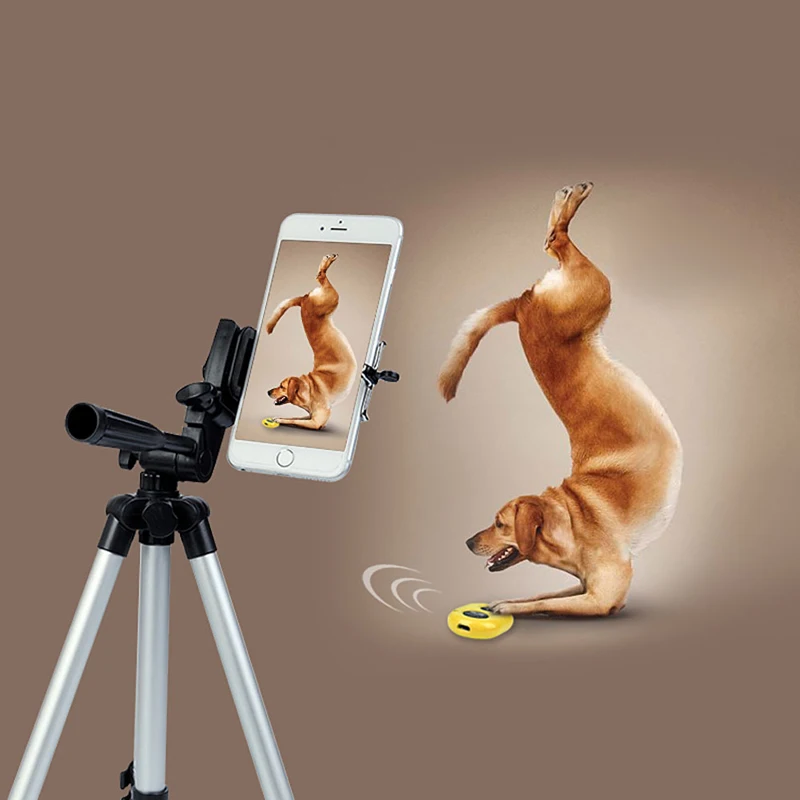

Portable Adjustable Tripod Flexible Stand Mount Holder Clip Set Universal Tripods for Phone Camera for iphone Samsung Z2