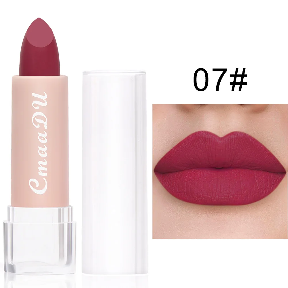 2021 New Sexy 15 Colors Lips Makeup Lipstick Lip Gloss Long Lasting Moisture Cosmetic Red Matte Waterproof |