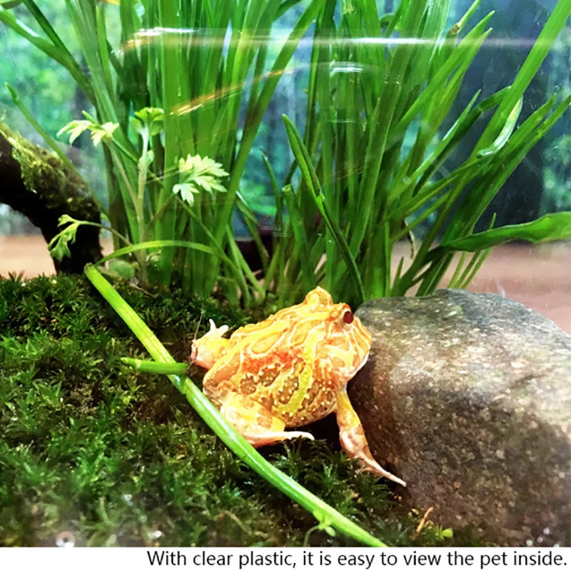 Кормушка для рептилий прозрачный акриловый контейнер разведения кормушка