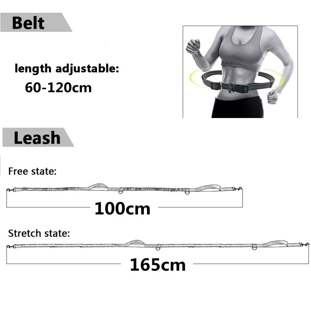 2021 New Leash Traction Rope Pet Dog For Hands Freely Running Belt Elastic Jogging Pull Metal D-ring Leashes | Дом и сад
