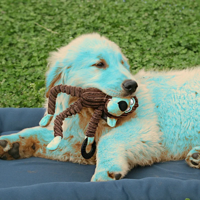 Жевательные игрушки Плюшевая собачка для щенка домашних животных жевательные