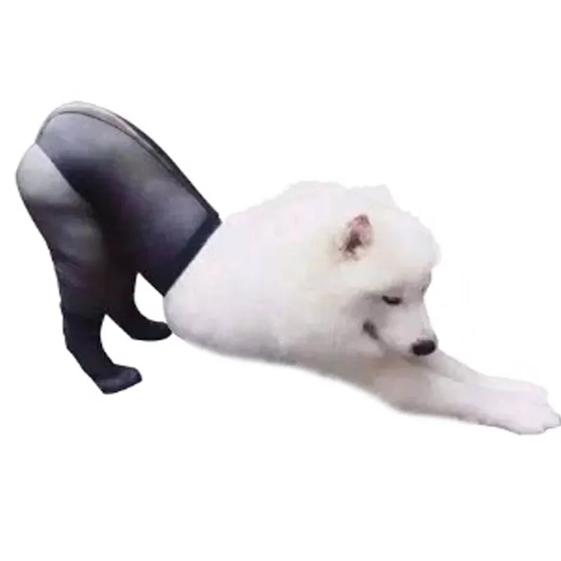 Носки для домашних животных Рождественский костюм на Хэллоуин костюмированной