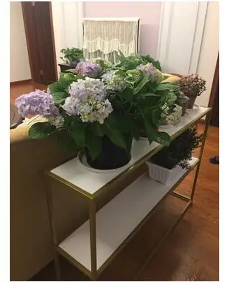 

Nordic multi floor nail polish stand, entrance hall, golden porch rack, tea table rack, high and low water platform.