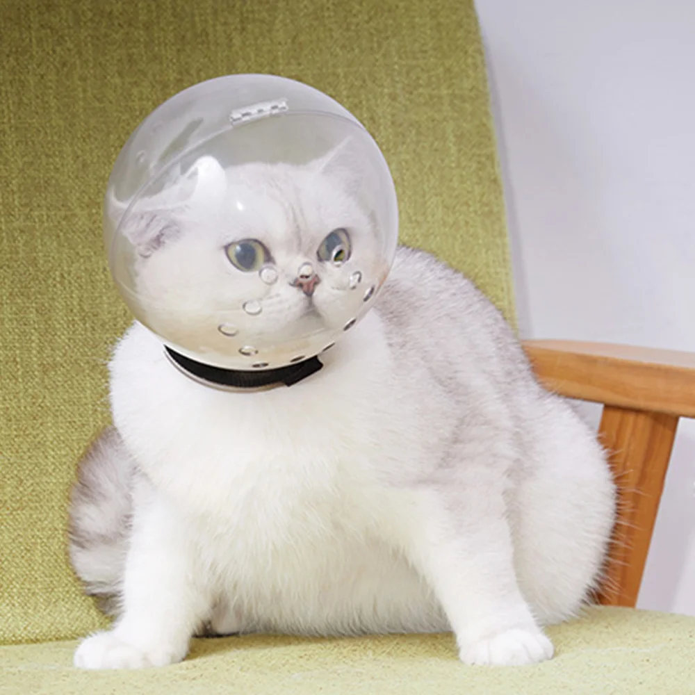 

1Pc Outdoor Cat Collar Decorative Transparent Collar Cat Head Cover (White)