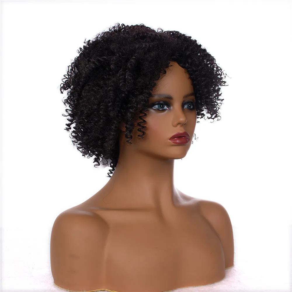 

Afro Kinky Curly Synthetic Wig Short Fluffy Spring Curly Wigs for Black Women Daily Fake Hair High Temperature Fiber