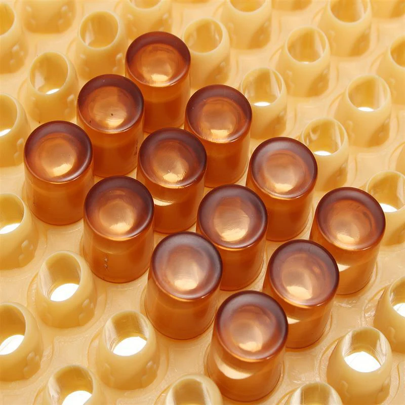 

Beekeeping Tools Queen Rearing Cell Cup Cultivating Box 110pcs Plastic Bee Cell Cups Cup kit Bee Queen Cage Equipment Set