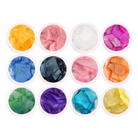 12 different color irregular nails abalone shell slice sea shell stone fragment polish diy manicure paillette decorations