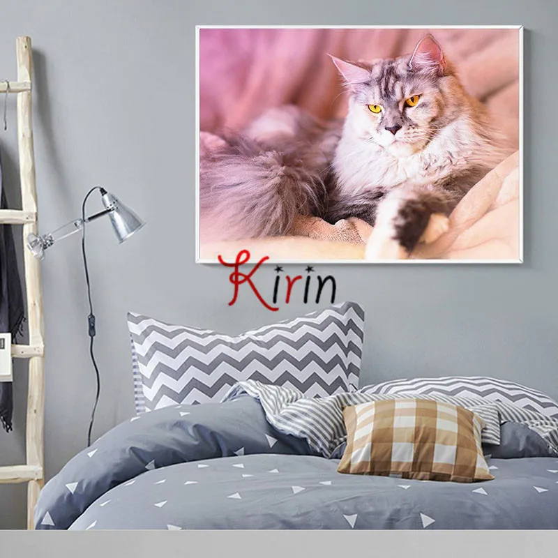 Алмазная 5D картина Kirin show животное кот полная вышивка распродажа стразы мозаика