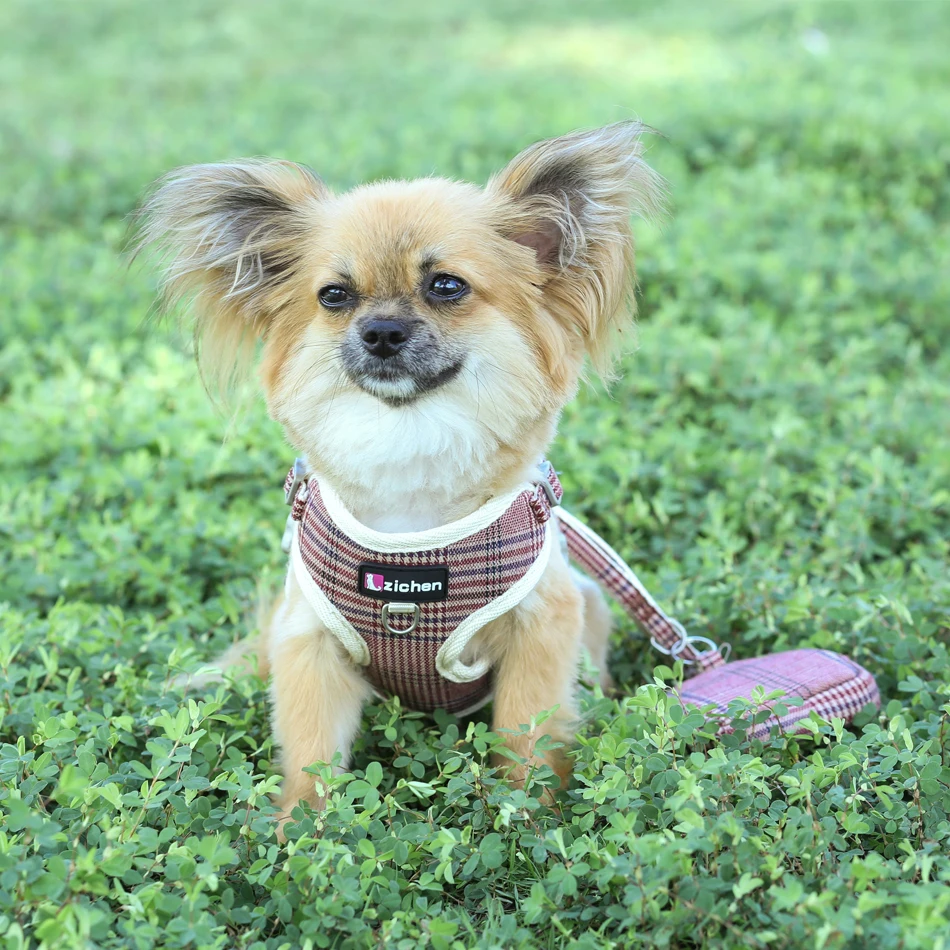 Поводок для питомца собаки жилет поводок снэк мешок Регулируемые мягкие теплые