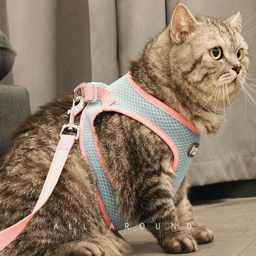 

Cat Harness Adjustable Kitten Vest with Reflective Strap Comfort Fit for Small Medium Dog Eash Cat Harness Breathable
