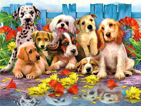 

5D DIY наборы для алмазной живописи собака животные полный квадратный круглый с AB дрель домашний декор Алмазная вышивка ручной работы художес...