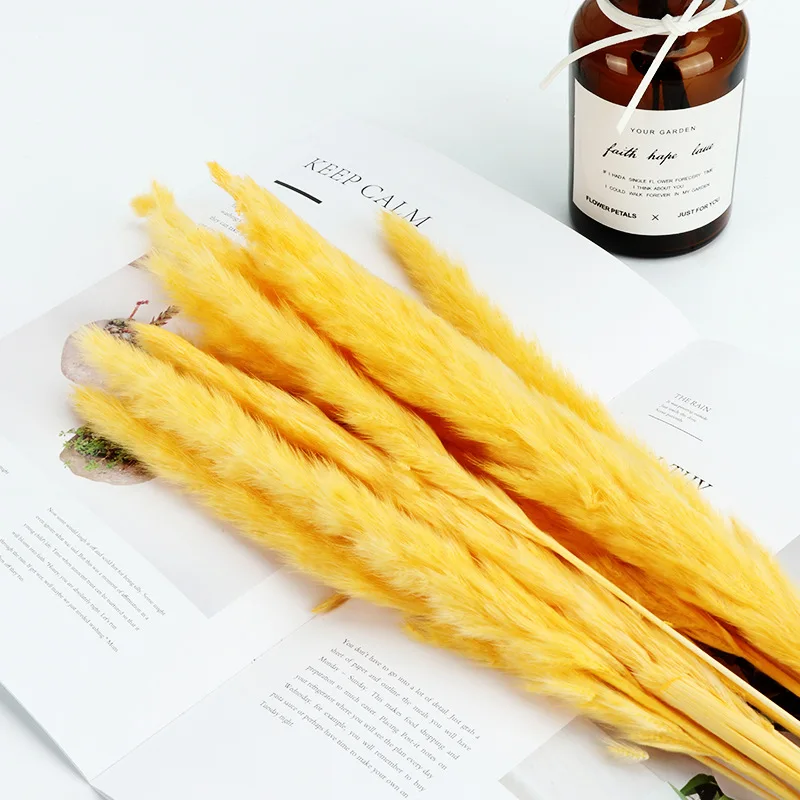 

A bunch of reed dried flowers eternal bouquet window decorative ornaments small reed flowers