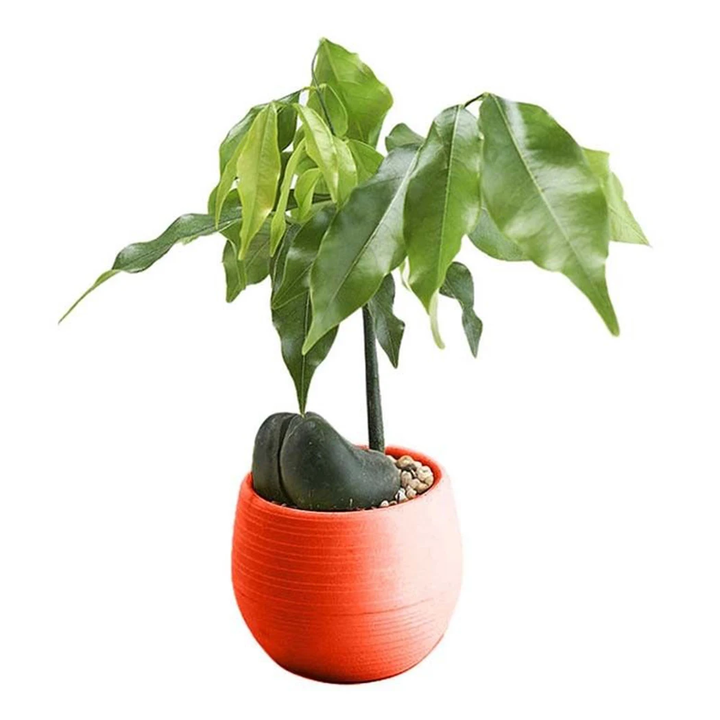 

Succulent Pot Flower Pots Small Plant Planter Home decoration Resin 10pcs/set