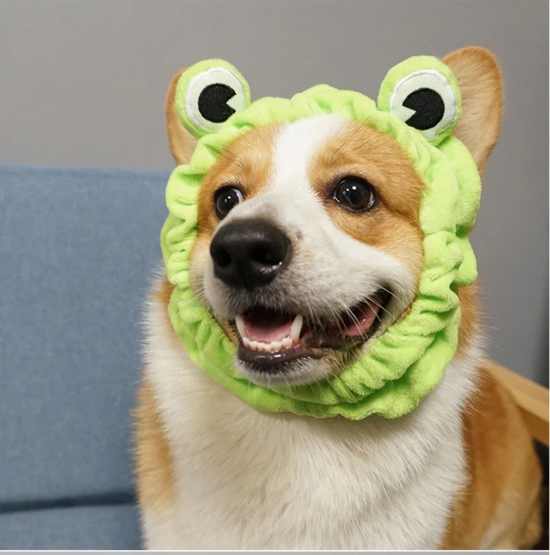 Домашние животные продают Милые головные уборы Собака Золотой мулла брадоки