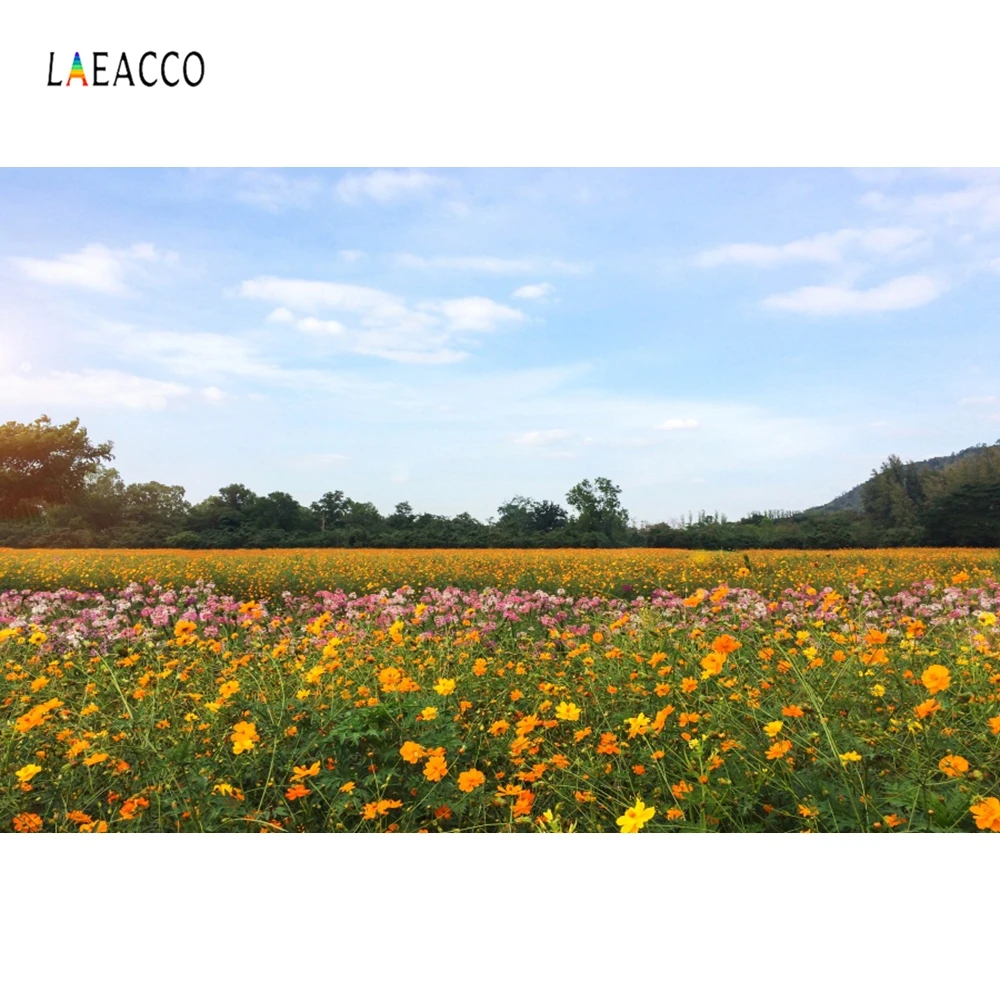 Laeacco фоны для фотосъемки с цветами полевыми лесами пейзажами виниловые фотофоны