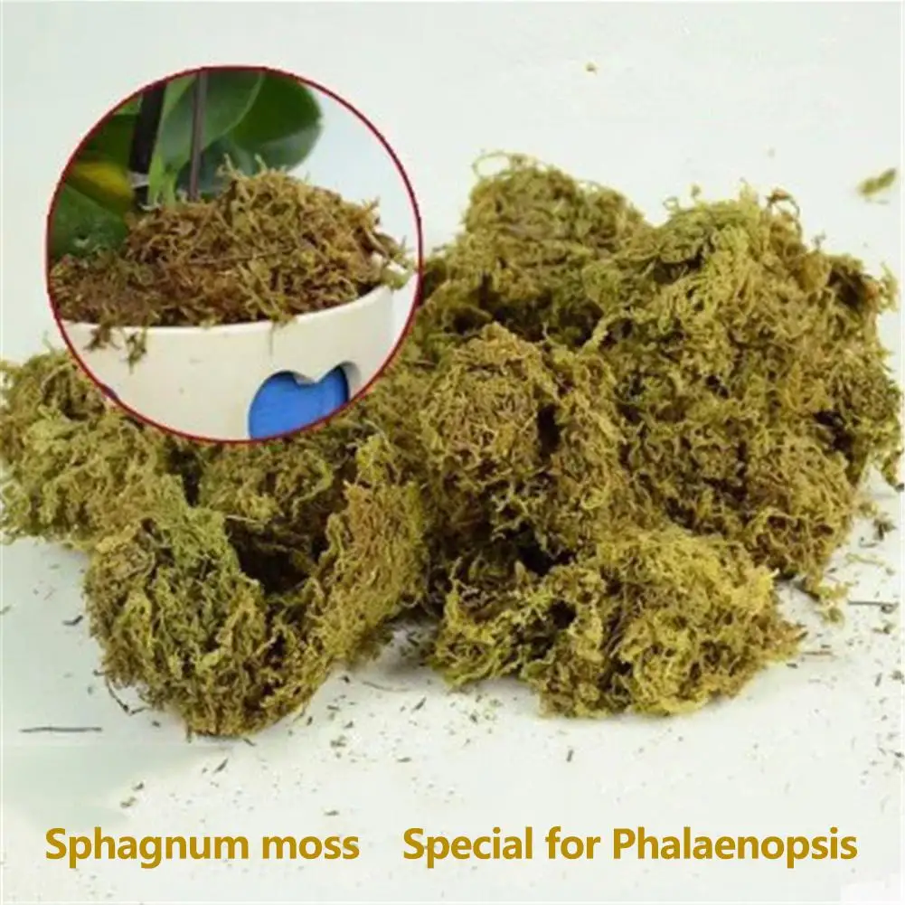 Органическое удобрение Sphagnum Moss 12 л Орхидея фаленопсис мусго цветы Садовые