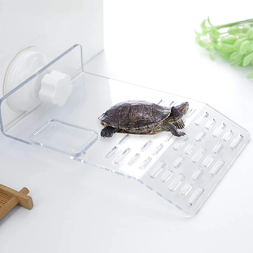 Рептилия черепаха Плавающая Платформа прозрачная раковина пристани для