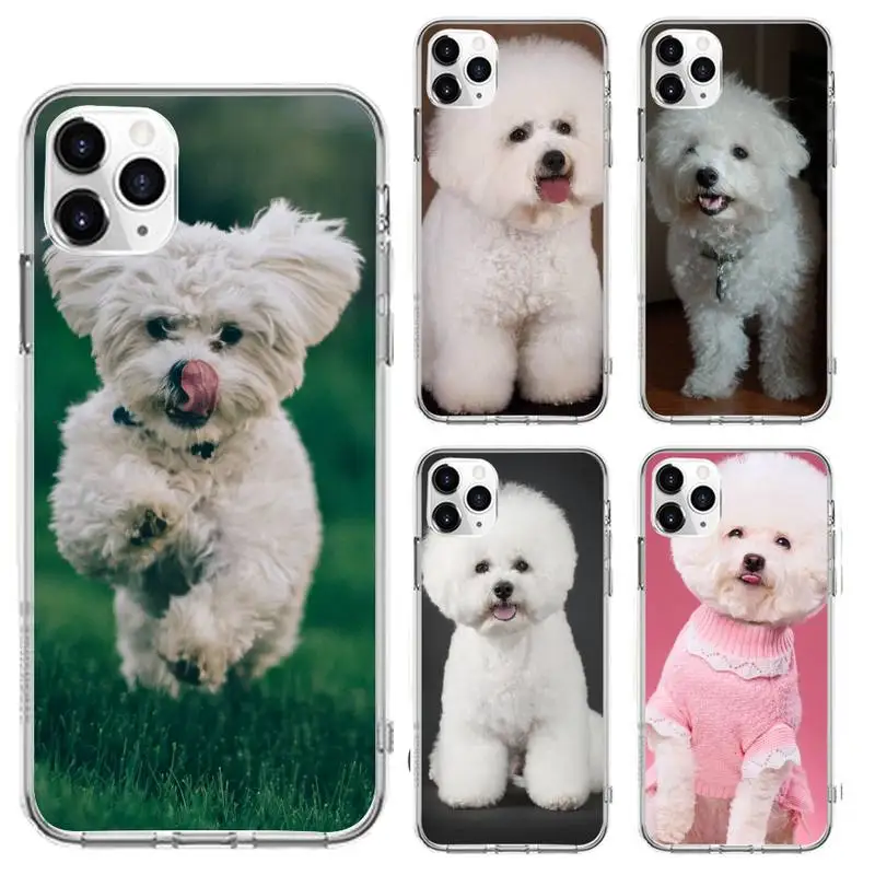 

Bichon frise dog puppy Phone Case For Clear-Iphone 5 5s se 6 6s 7 8 11 12 X Xs Xr Pro Plus Max Mini Cover