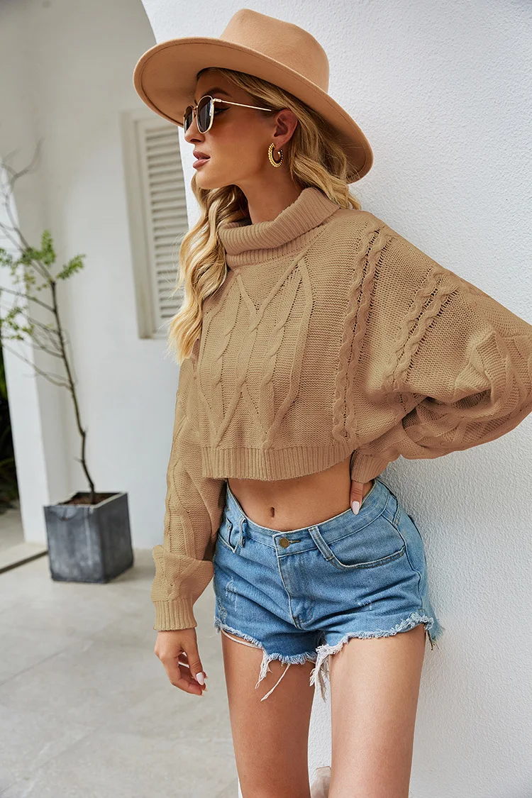 

Solid Color Knitted Sweater Women 2021 New Turtleneck Twist Pullover Fashion Clothing Elegant Long Sleeve Short Sweaters H250