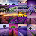 AZQSD Diy кадр Краски ing бледно-лиловый рисунок на холсте Краски Раскраска по номерам цветочные наборы акриловые уникальные подарки