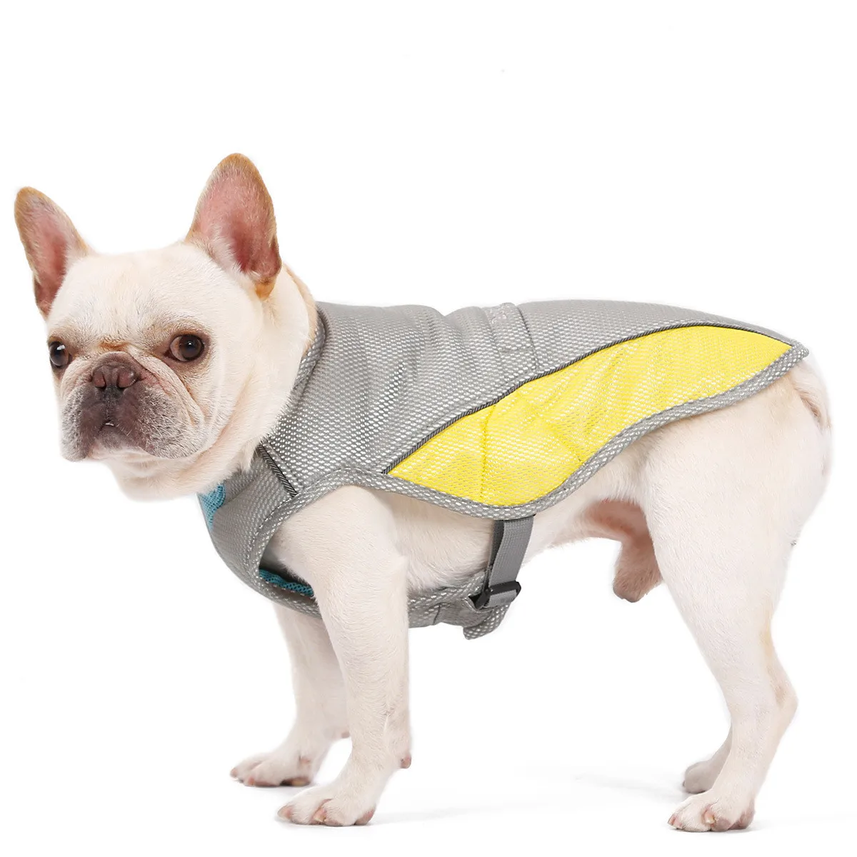 

Dog Vest Summer Go Out Dog Clothes Heatstroke Prevention and Cooling Clothing Cold Vest Summer Breathable Pet Clothing