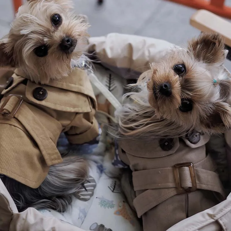 Осенне-зимняя искусственная ветровка милая Тедди Чихуахуа рабочая одежда теплая