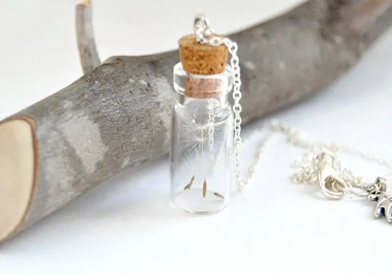 Ожерелье с изображением одуванчика бутылки желаний Серебряный крошечный