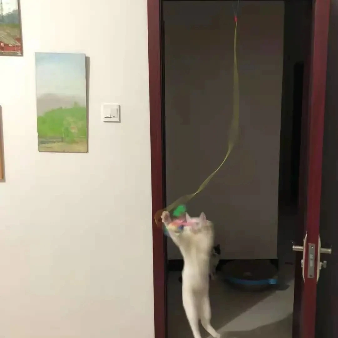 2021 Новинка! Игрушка для кошек Самостоятельная подвесная дверь Выдвижная веревка