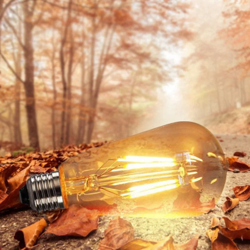 LukLoy Edison ST64 LED Clear Light Bulb Source 4W 6W 8W Warm Yellow Retro Creative Art light | Освещение