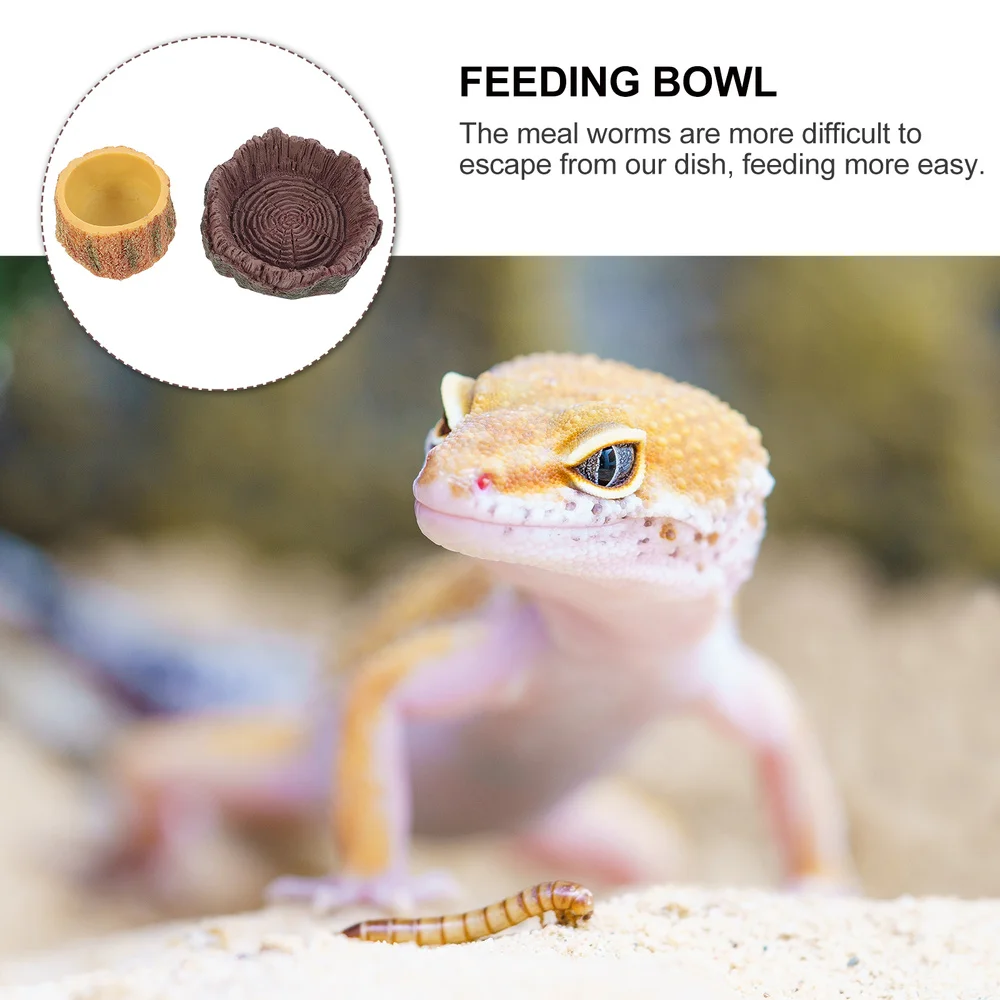 

2Pcs Reptile Food Basins Landscaping Box Feeder Pet Animal Water Basin Feeders