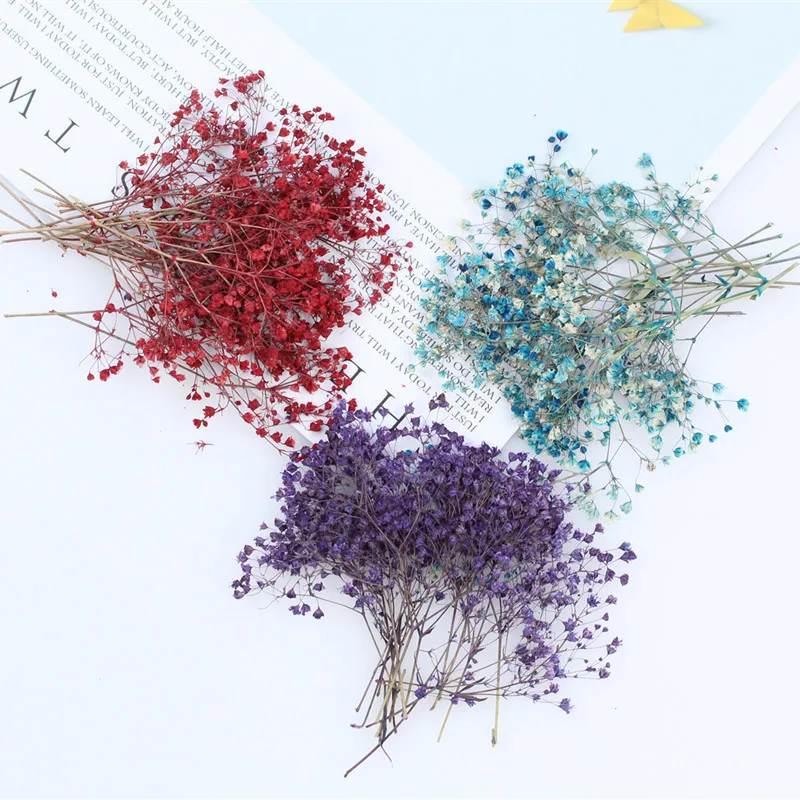 

12pcs Mini Dried Pressed Baby's Breath Flower Natural Fresh Dried Gypsophila Paniculata DIY Gift Box Card Resin Mold Craft