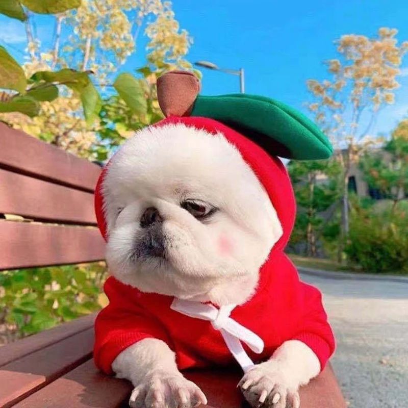 Распродажа-одежда с принтом в виде собак шпиц Толстовка милая форма фруктов