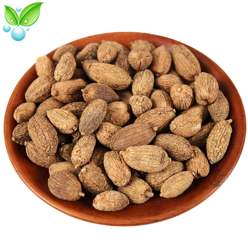 

Amomum,Amomum Dried Fruit,Sha Ren,Amomum Tsaoko,Amomum Fruit,Cockleburlike Amomum Fruit,Villous Amomum Fruit