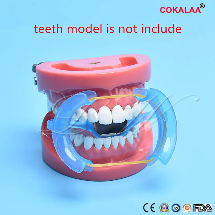 5 pcs Dental Materials m Type Intraoral Cheek Retractor Teeth Whitener Mouth Opener Dentist Equipment With Mirror | Красота и