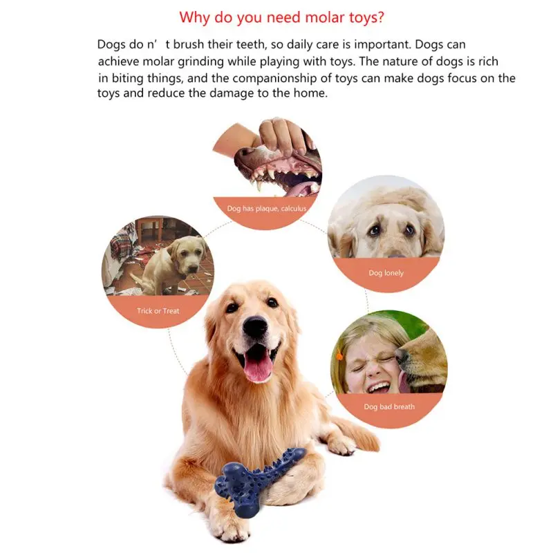 Собака молярная игрушка Укус устойчивостью отбеливание при чистке зубов