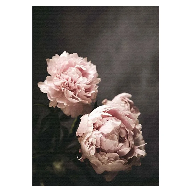 02 Flowers Canvas Art Poster Nordic Style Pink Peonies Decorative Print Wall Painting Scandinavian Decoration Picture Home Decor - Цвет: 02