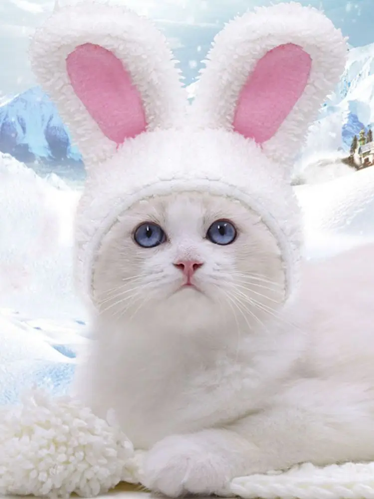 Cat Hat - Hat - Aliexpress - The best cat hat
