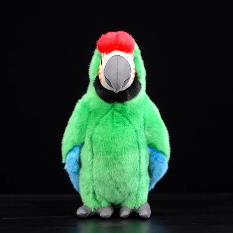 Мягкая плюшевая игрушка Macaws Ara зеленый Макао попугай пситтаковые модель птицы