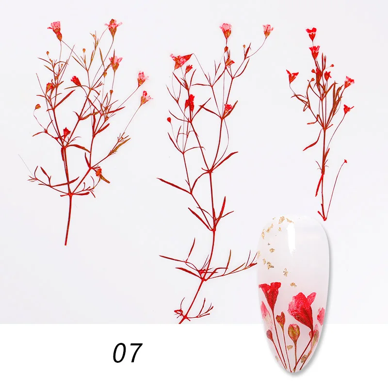 07(1bag) 1 коробка сушеные цветы лист DIY украшения для ногтей Красота цветение подсолнухи советы натуральные Подвески наклейки для ногтей аксессуары - Цвет: 07(1bag)