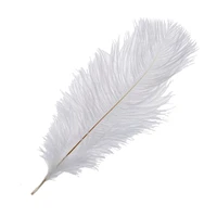 10 pieces white natural ostrich feather 20 25cm wedding diy